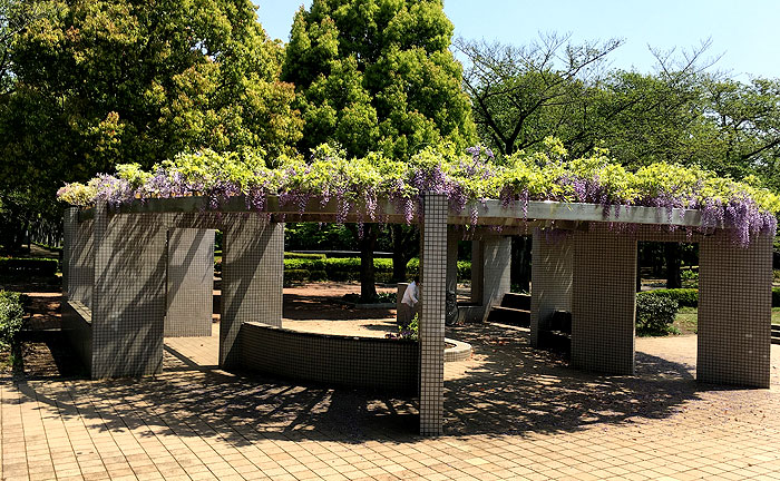 府中の森公園