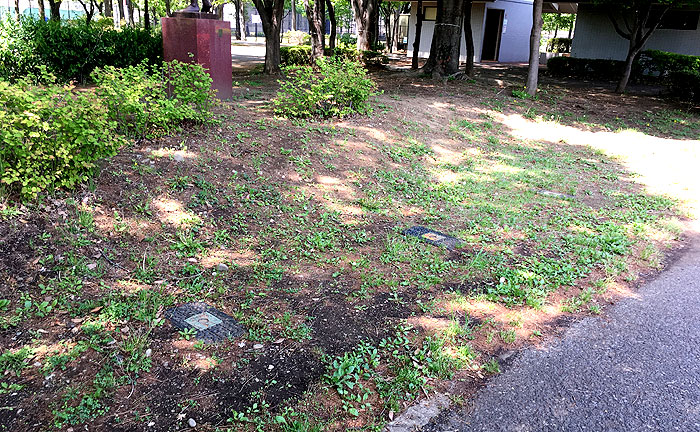 府中の森公園