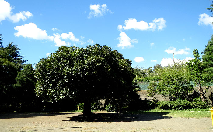 つきみ野3号公園