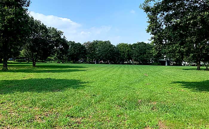 郷土の森公園