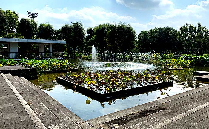 郷土の森公園