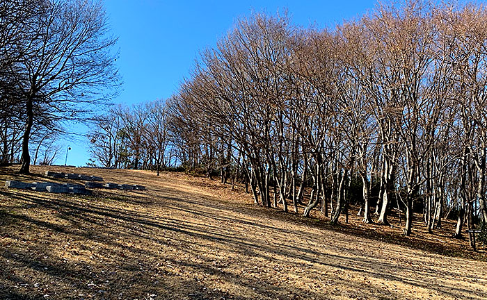 宇津貫公園