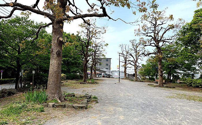 泉中央遊園