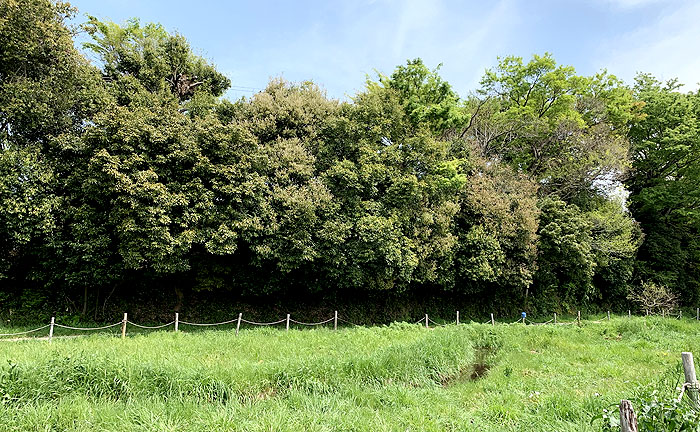 ママ下湧水公園