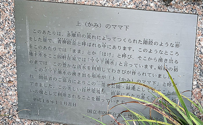 ママ下湧水公園