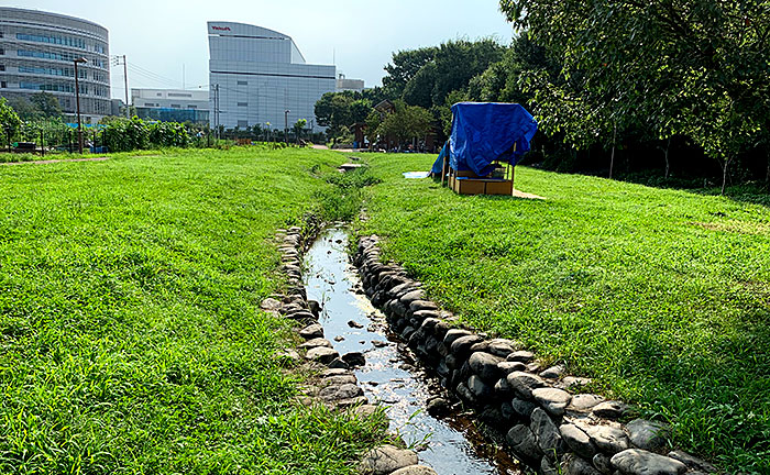 城山公園