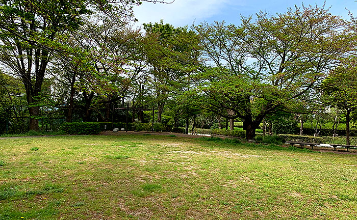 泉東遊園