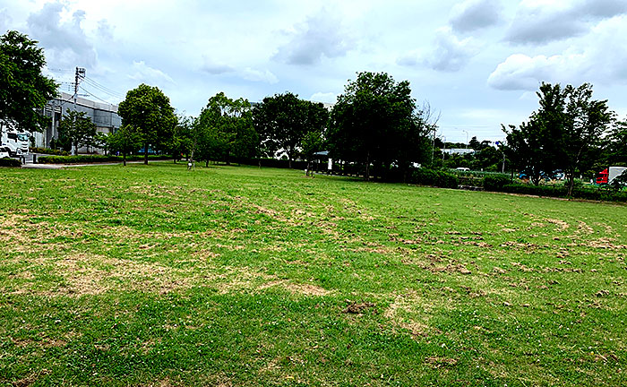 寺之下親水公園