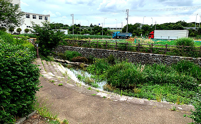 寺之下親水公園