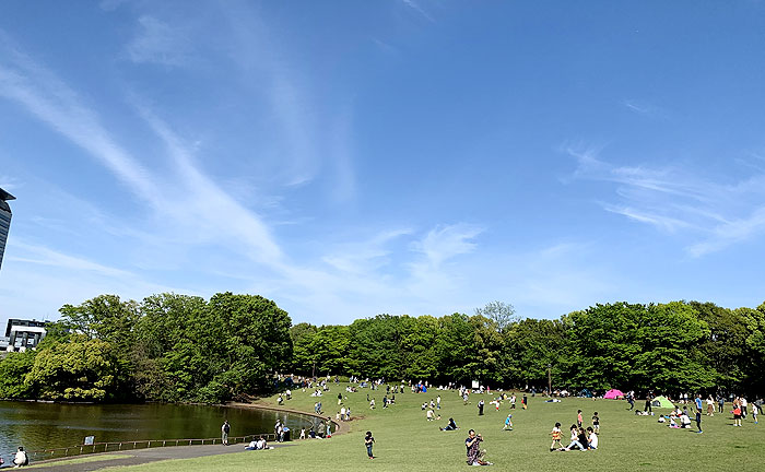 恋がヘタでも生きてます