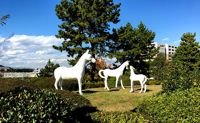 南つくし野こうま公園