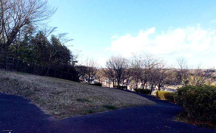 上小山田風の丘公園