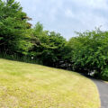 町田市の公園