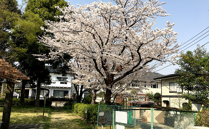 イトーピア西公園