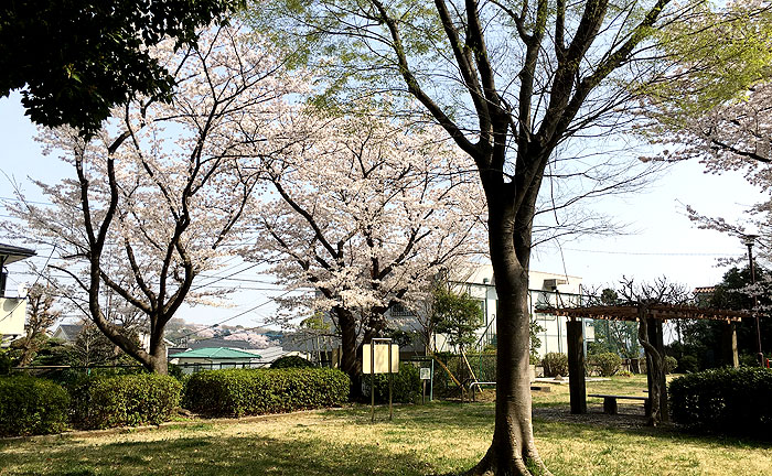 イトーピア西公園