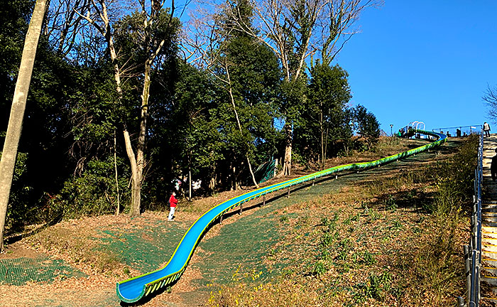 芹ヶ谷公園