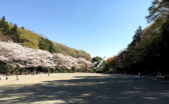 芹ヶ谷公園