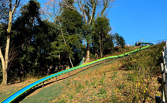 芹ヶ谷公園