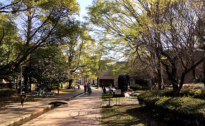 芹ヶ谷公園