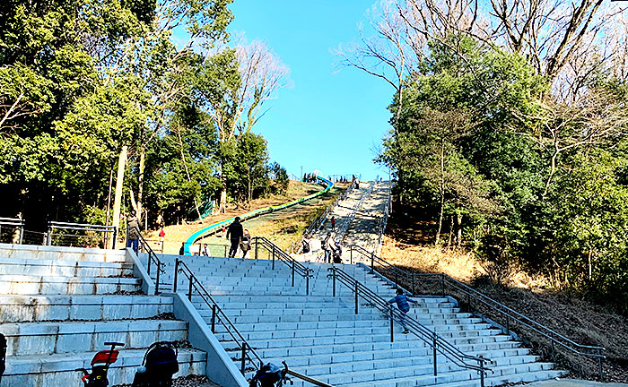 芹ヶ谷公園