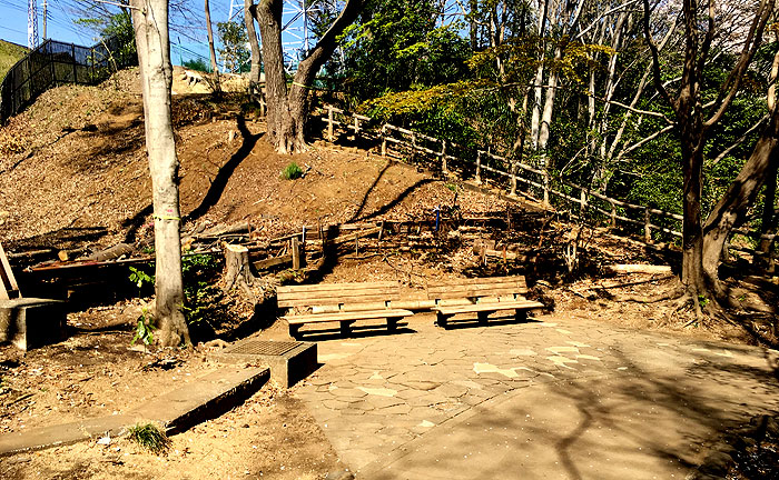 芹ヶ谷公園