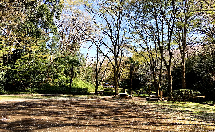 芹ヶ谷公園