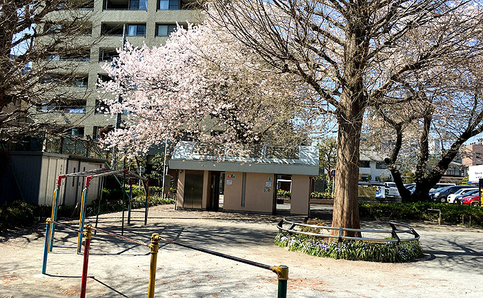 原町田わかば公園