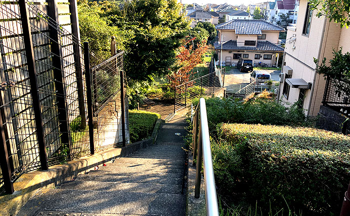 本町田緑の丘公園