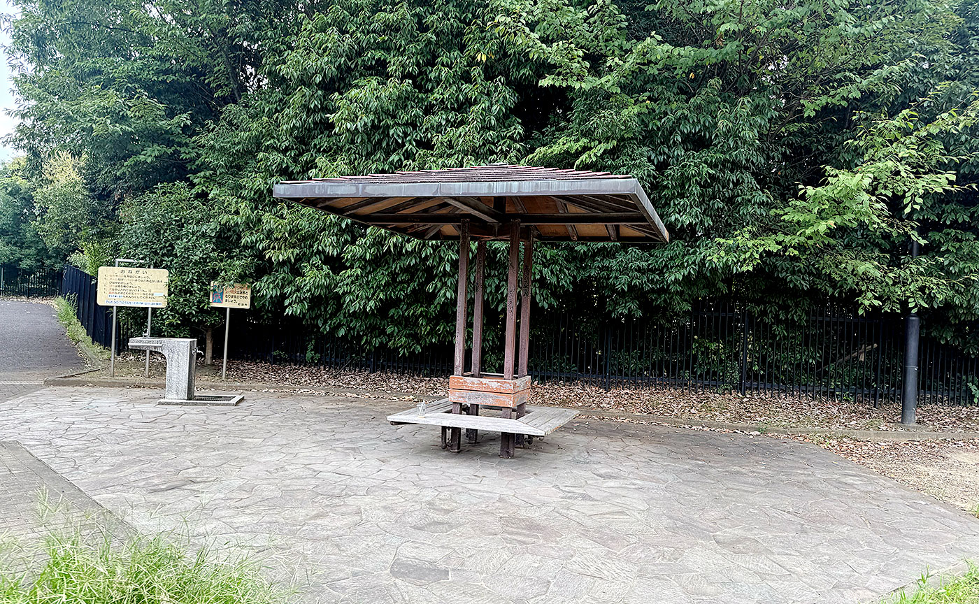 能ヶ谷空と緑の森公園