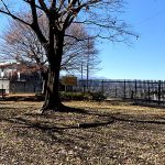 町田市の公園
