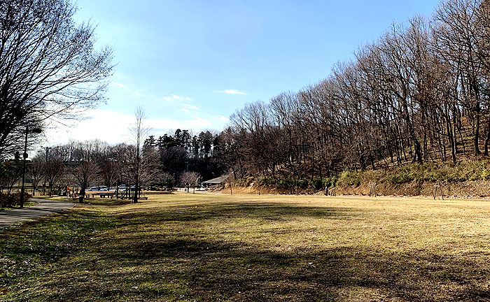 相原中央公園