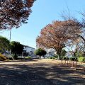 町田市の公園