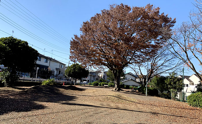 桐畑公園