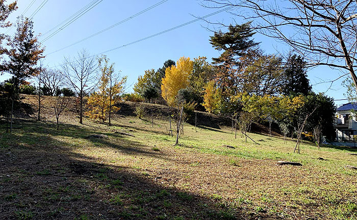 なずな原公園