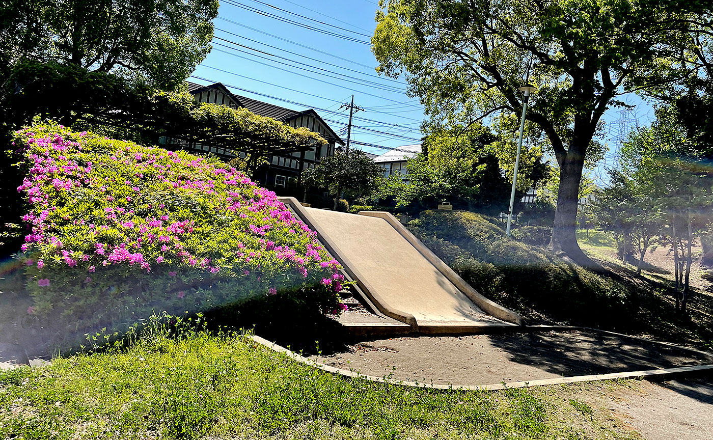 金井森の丘公園