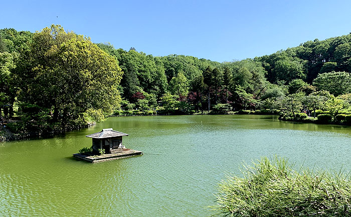 薬師池公園