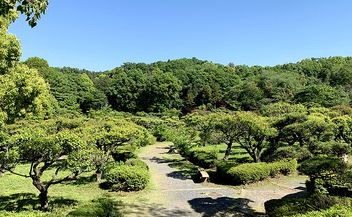 薬師池公園