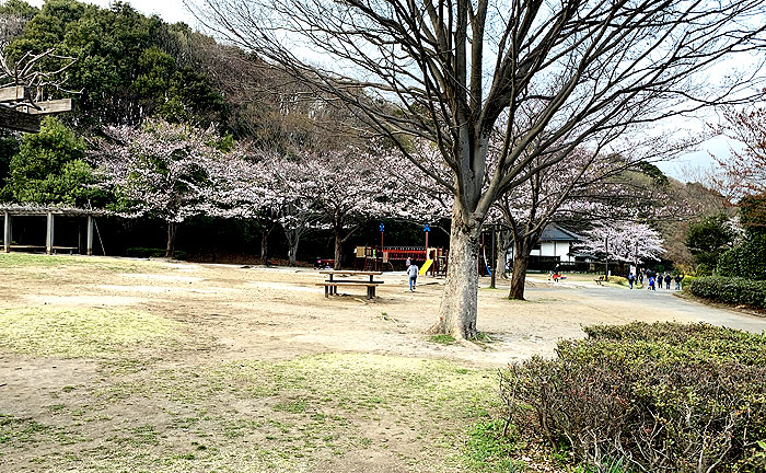 野津田公園