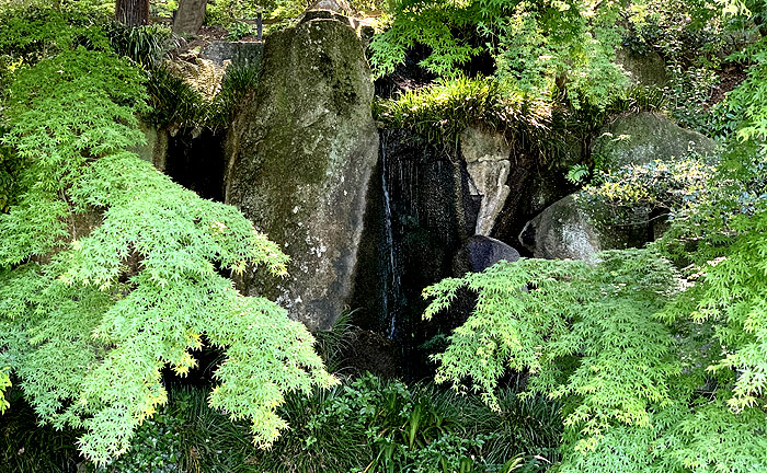 薬師池公園