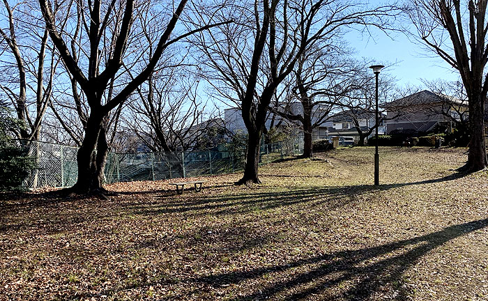 城山公園