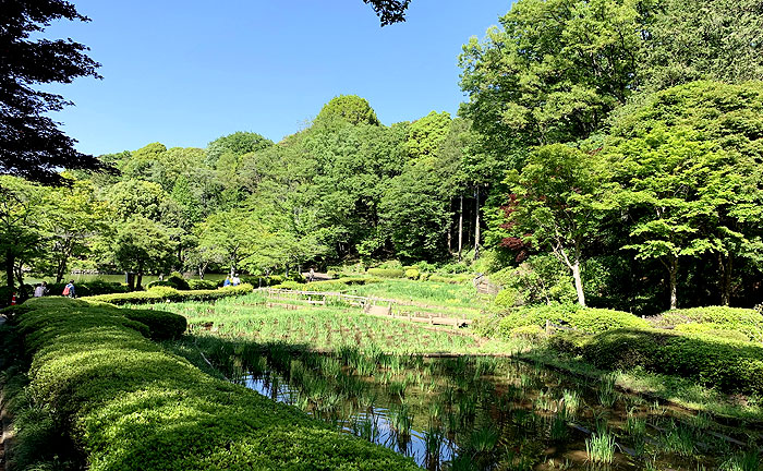 薬師池公園