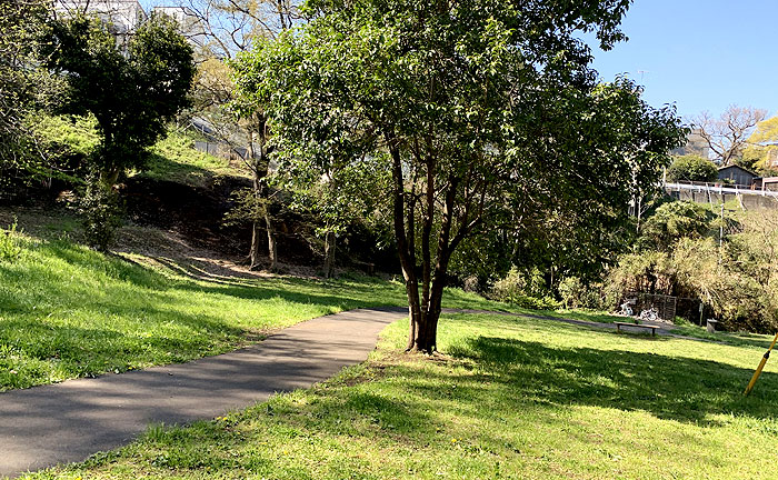 滝の沢源流公園