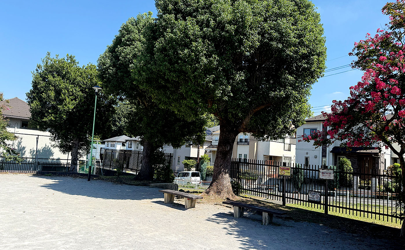 東玉川学園化石谷公園