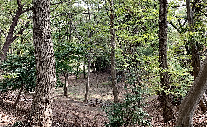 三ツ目山公園