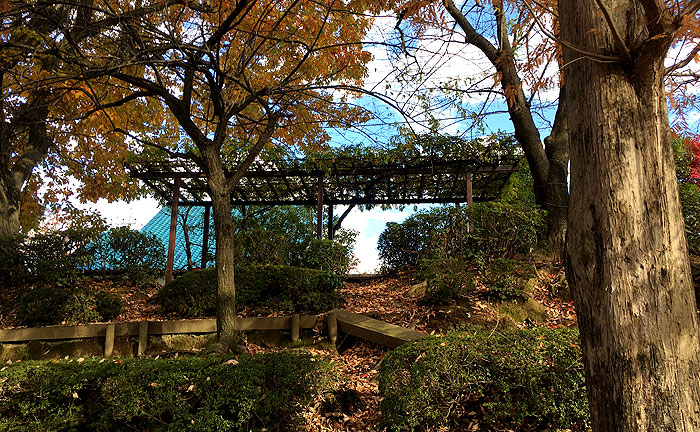 つくし野貝がら児童公園