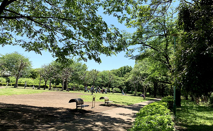 忠生公園
