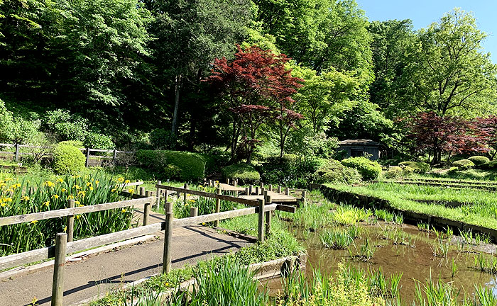 薬師池公園