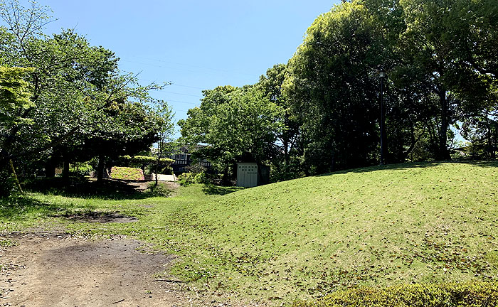 金井森の丘公園