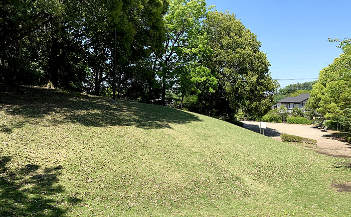 金井森の丘公園