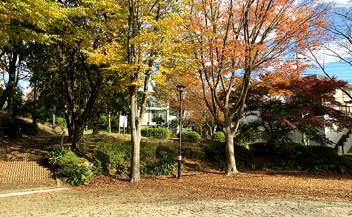 つくし野宮まえ児童公園